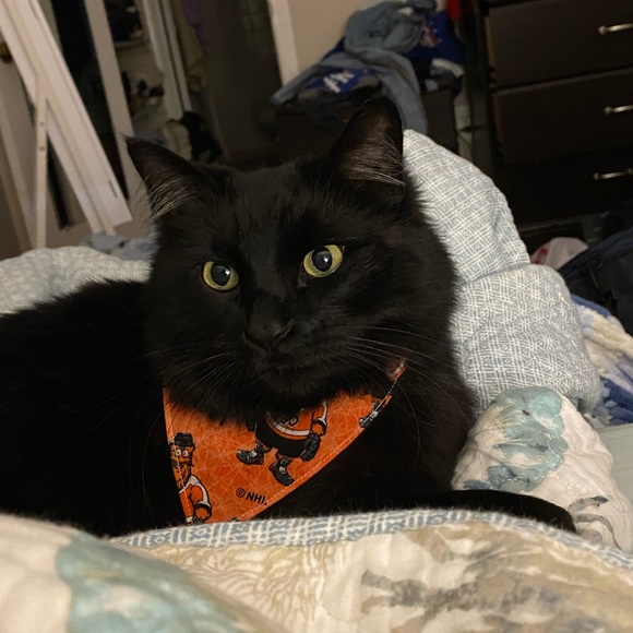 Meet your Posher, Keiva - Picture 1 of 2